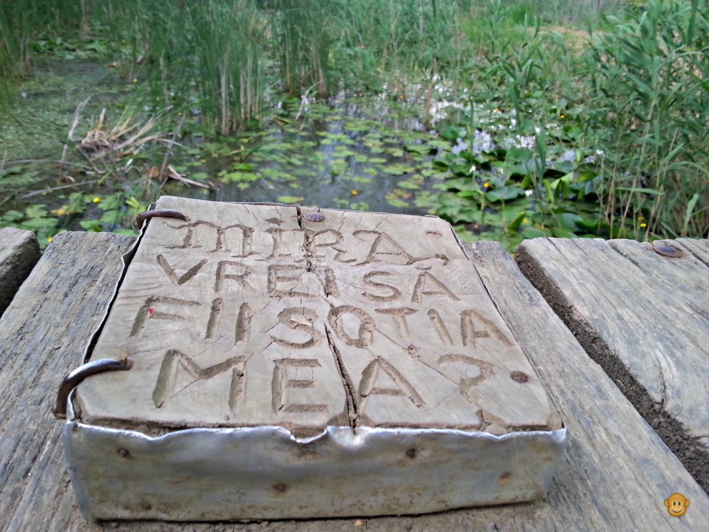 In goana spre Ipotesti
