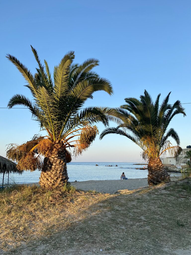 Palmieri Plaja Kalyvaki